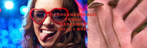 СК Богородицк