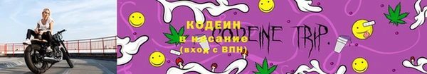 СК Богородицк