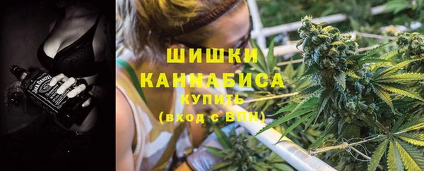 дживик Богородск