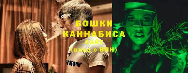 дживик Богородск