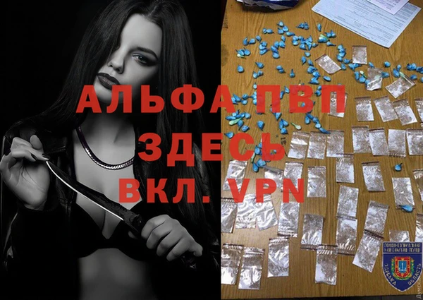 дживик Богородск