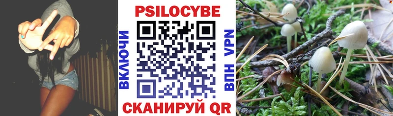 наркошоп  Псков  Псилоцибиновые грибы Magic Shrooms 
